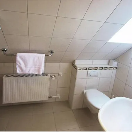 Braun 3* Winterberg